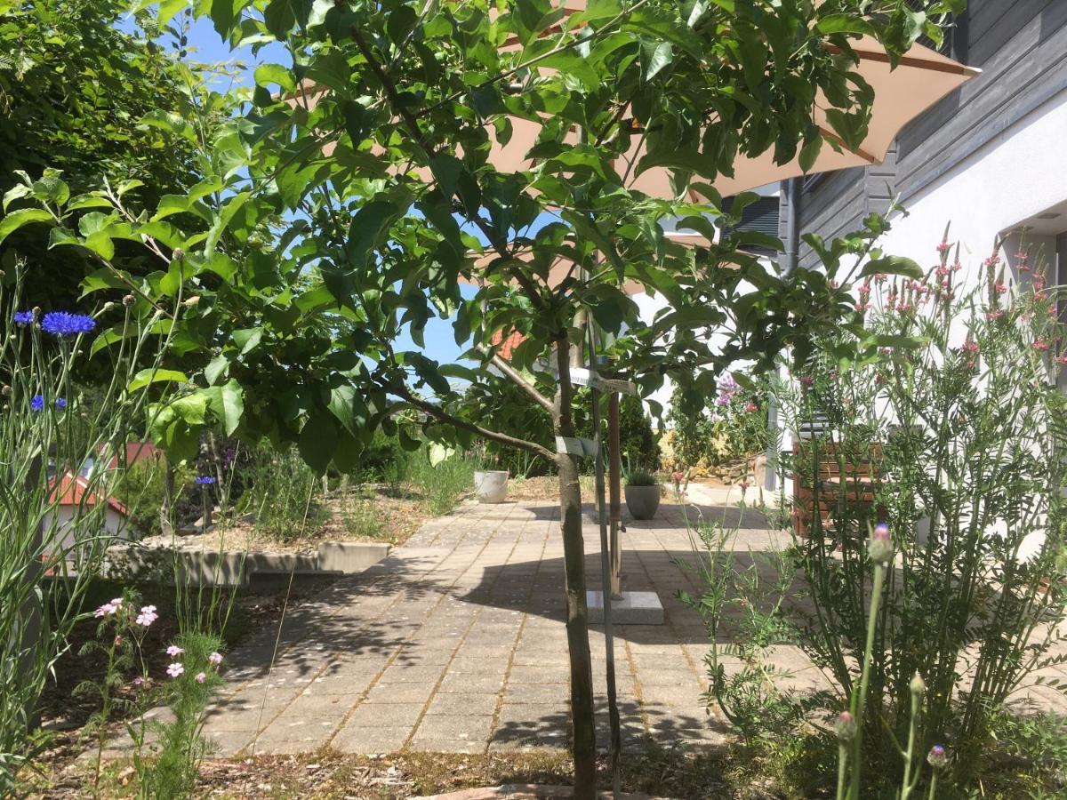 Sweetsuites 40A Lavendelhaus Mühlhausen 外观 照片
