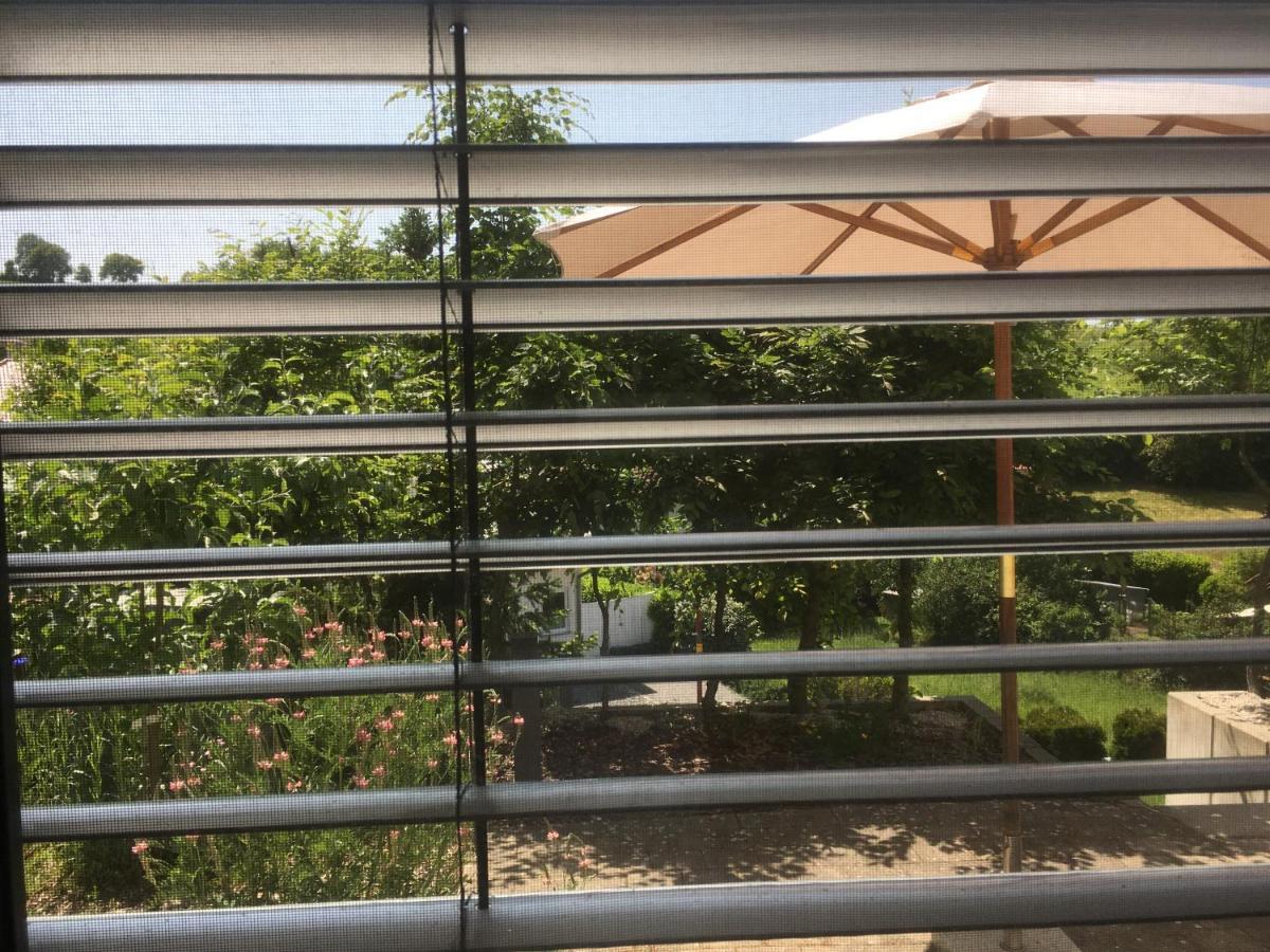Sweetsuites 40A Lavendelhaus Mühlhausen 外观 照片